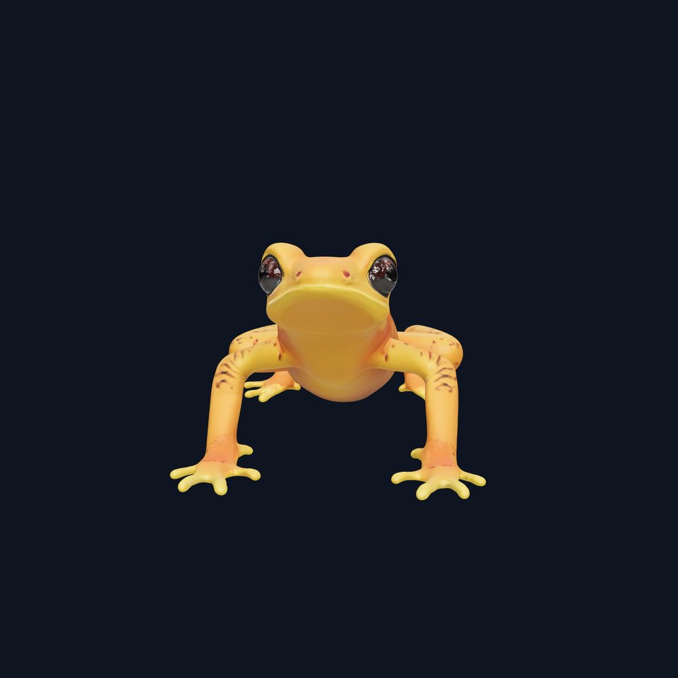 Vibrant Orange Frog Model Pack